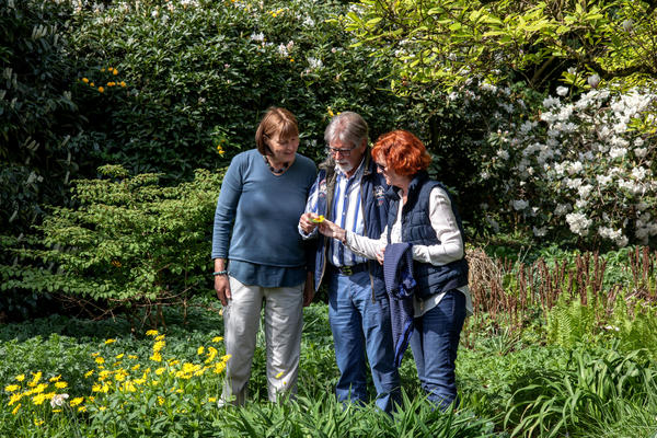 Bauerngarten zu Jeddeloh, Edewecht-Jeddeloh