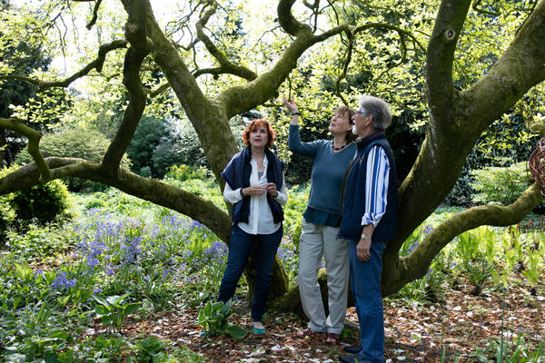 Bauerngarten zu Jeddeloh