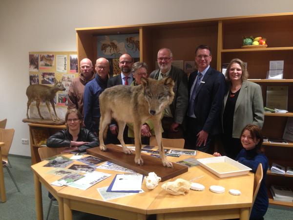 Wolfspr�parat im Umweltbildungszentrum