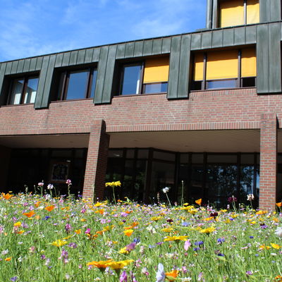 Bl�hwiese beim Kreishaus