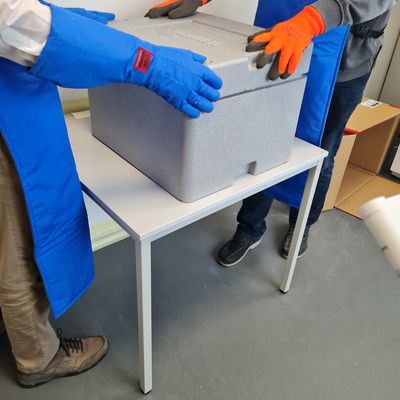 Mitarbeiter mit einer K�hlbox mit Impfstoff