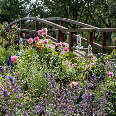 Blühende Ausblicke im Privatgarten Ohliger in Westerstede