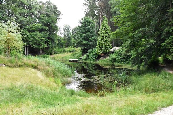 Zum ersten Mal dabei: das vier Hektar gro�e Waldbiotop in Jeddeloh 1 vom Verein �De Jeddeloher Busch�