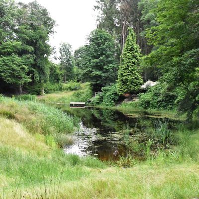 Zum ersten Mal dabei: das vier Hektar große Waldbiotop in Jeddeloh 1 vom Verein »De Jeddeloher Busch«