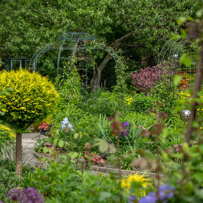 Privatgarten_Hinrichs