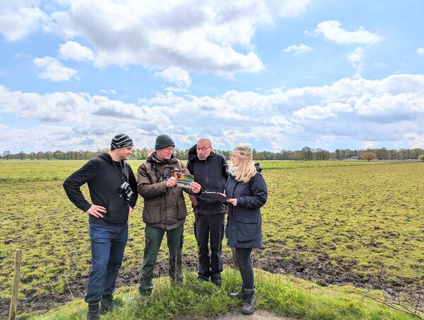 Wiesenv�gelprojekt