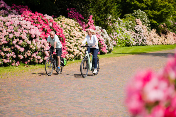 Radfahrende im Ammerland