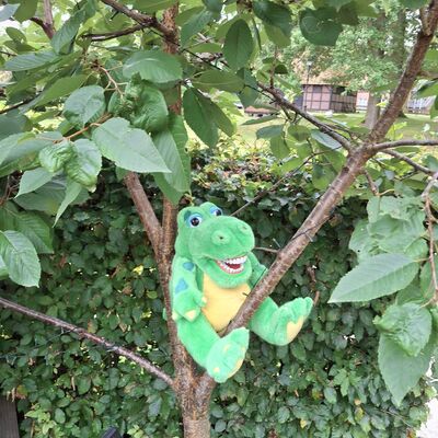 Bild vergr&ouml;&szlig;ern: Maskottchen Kroko im Waldkindergarten in einem Baum