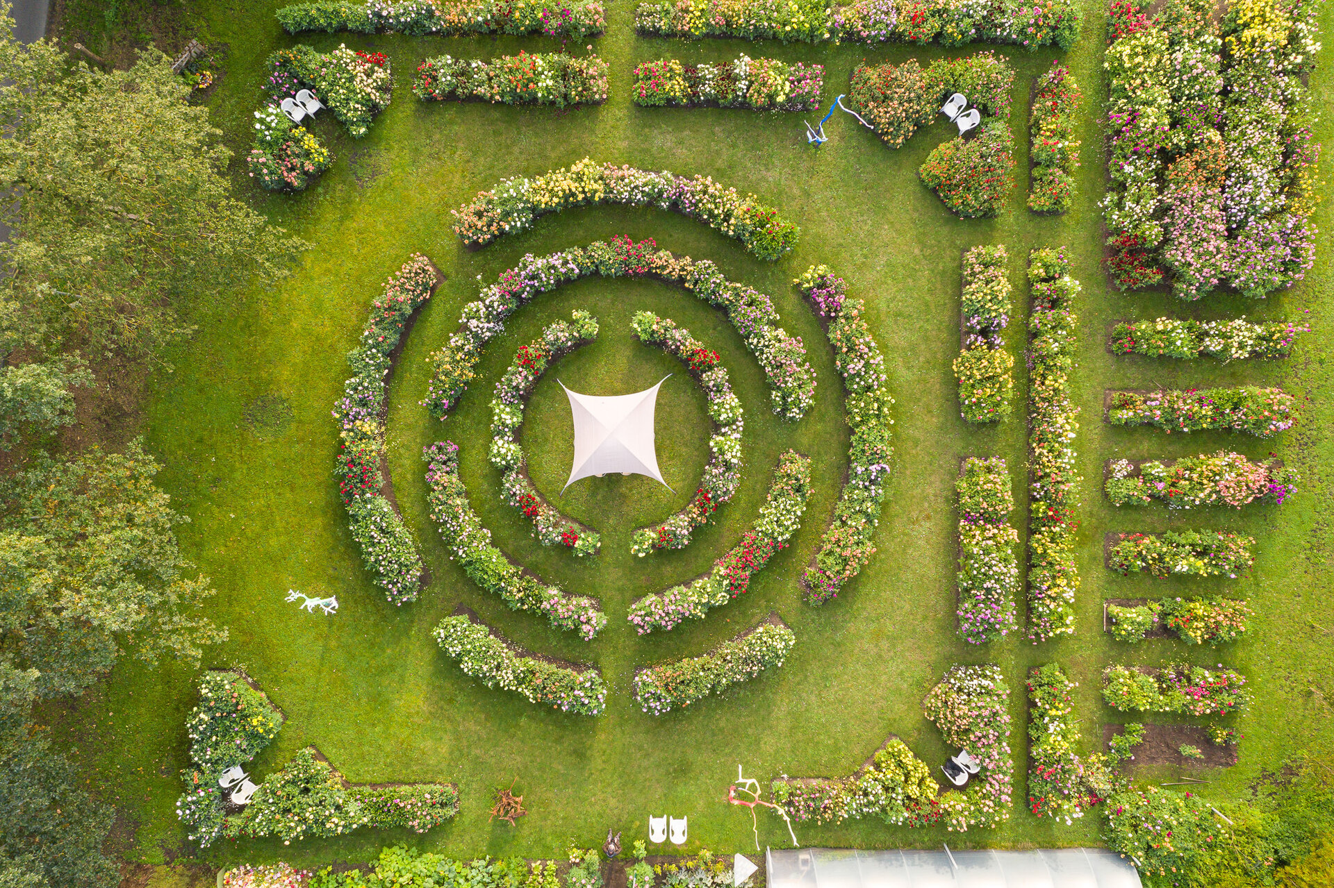 Luftaufnahme einer Gartenanlage mit zahlreichen farbenfrohen Dahlienbeeten, darunter kreisförmig angeordnete Beete.